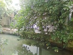 -小洲村