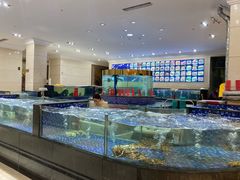 -龙悦湾酒家·八阵鱼生·渔人码头店