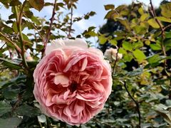 -人民公园(罗湖区)