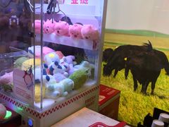 -左庭右院鲜牛肉火锅(浦江欢乐颂店)