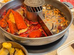 -蜀大侠火锅(总府路店)