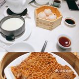魔都探店 ｜打卡广州正宗早茶🍵