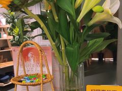 -施奈儿.洗头頭療.按摩SPA.采耳(上梅林店)