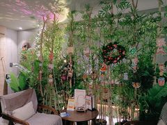 -施奈儿.洗头頭療.按摩SPA.采耳(上梅林店)