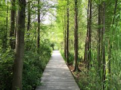 -溱湖国家湿地公园