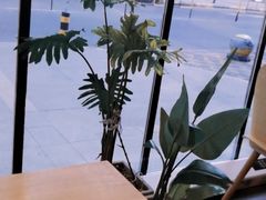 -仁义涵西餐·咖啡(中华巴洛克店)