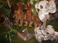 -济州岛泰迪熊博物馆