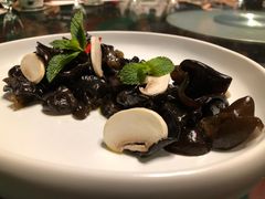 凉拌木耳菜-九十九顶毡房(阜石路店)