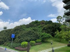 -南宁荔园维景国际酒店·荔园中餐厅