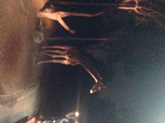iphone_upload_pic-清迈夜间动物园