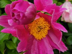 -长春公园(普阳街道)