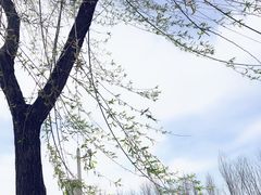 -哈尔滨大剧院