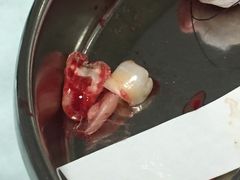 -浙江大学医学院附属口腔医院湖滨（延安）院区