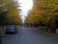 -辽宁大学(崇山校区)