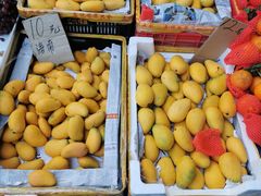-何庄子阿米玛玛农产品批发市场