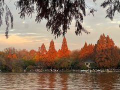 -浙江西子宾馆·瑶园咖啡厅