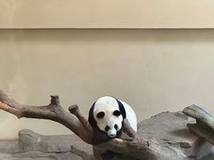 -宁波野生动物园