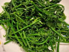 五指山野菜-琼菜王(南海店)