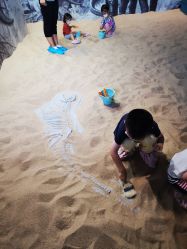 -恐龙探索乐园(磁器口店)