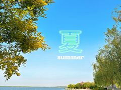 -东丽湖风景区