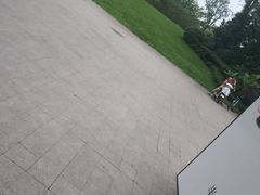 -书亦烧仙草(隆鑫九熙店)