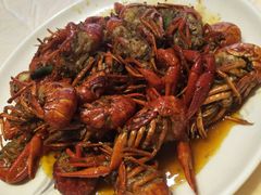-怪怪龙虾·澳洲蓝龙王·深夜食堂(惊驾路店)