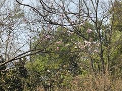 -知美术馆