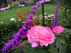 -深圳国际园林花卉博览园