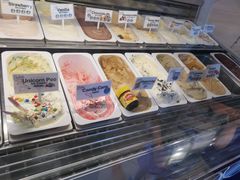 -Dooley's Premium Ice Cream