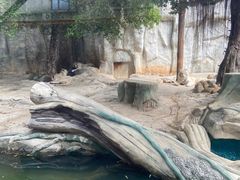 -灵玲国际马戏城