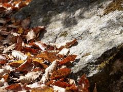 -青峰峡国家森林公园