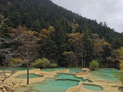 -黄龙山原始森林景区