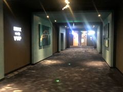 -万达影城IMAX(海口日月广场店)