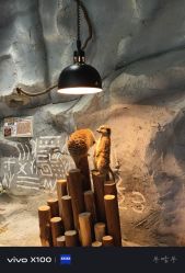 -Zoolung Zoolung动物主题公园(海信广场店)