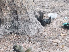 -北陵公园