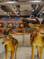 -鲁比猴非洲探索部落(喜盈门店)