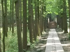 -同里国家湿地公园