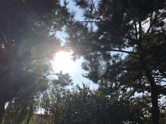 -韩国利尔面包(桂林路店)