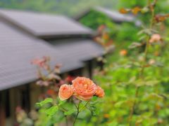 -龙井峡漂流