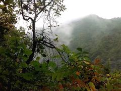 -陕西省红河谷森林公园