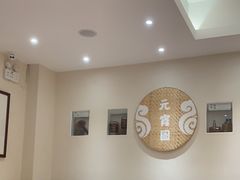 -海丝金凤(金鱼店)