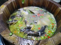 -云鱿记鱿鱼鸡·野生菌火锅(人民南路店)
