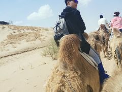 -黄沙古渡原生态旅游区