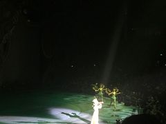 -珠海横琴长隆《卡卡虎奇遇记》