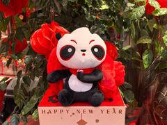 -蜀大侠火锅(总府路店)