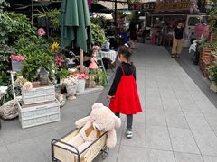 -京北渔家傲