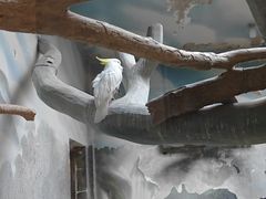 -辛玛王国游乐园