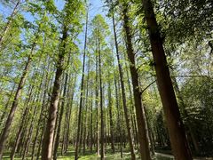 -河南省黄河迎宾馆