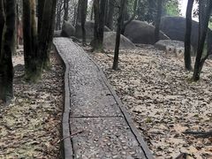 -火炉山森林公园
