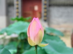 -罔极寺